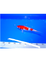 a40fbbcf-1eb2-48af-be81-fd9f71ac2ba0