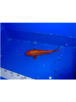 0bf97da0-b8a0-4774-a3c8-d1edbc39bbee