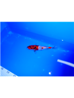 11a705a4-85de-4487-b498-4c936df18f7d