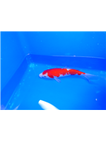 24de1310-0c05-4044-b12d-15ce9972cfbe