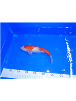 1c6be4b0-e04f-4049-b2f1-e3099a97b1c8