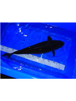 25693f7f-a75b-4b3d-bfb6-012d38ec2d7b