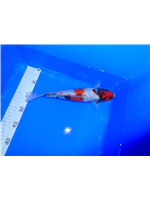 75213b0c-0a7a-4af9-aa0f-3ade732e3d11