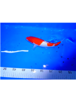 02331040-2955-4428-b859-7c0b0bf8e830