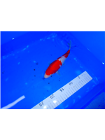 03fbbf51-3f8c-4ad8-b04d-1e3b1e45722b