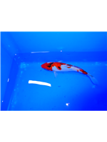 adcc528f-db36-4b7f-aa56-5f8d09c1e0bf