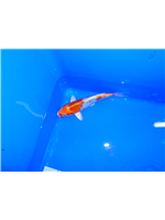 4efe56f9-b5f1-400f-badf-bbe4d81c04a0