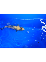 91bc5e72-8ca4-4248-a794-72048bb8d882