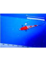 3bb34559-5b46-41ea-8aa7-219d07a5fbff