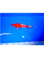 72408391-f456-4041-a0bb-59fb5ed89796