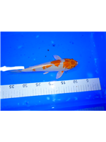 3d33706d-7807-478e-b7ac-3b7746926daf