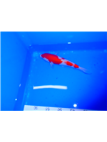 7e43bb9e-aaf1-44d1-979e-51d41b146a58