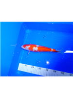 f84254e4-9e69-4e79-aa3f-bae9c3f107db