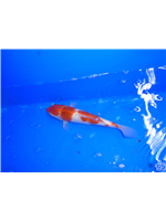 832813dd-1d51-4d89-9491-d0f327328087